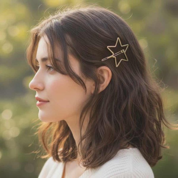 স্টার শেপ লেডিস হেয়ার ক্লিপস | Star Shape Ladies Hair Clips